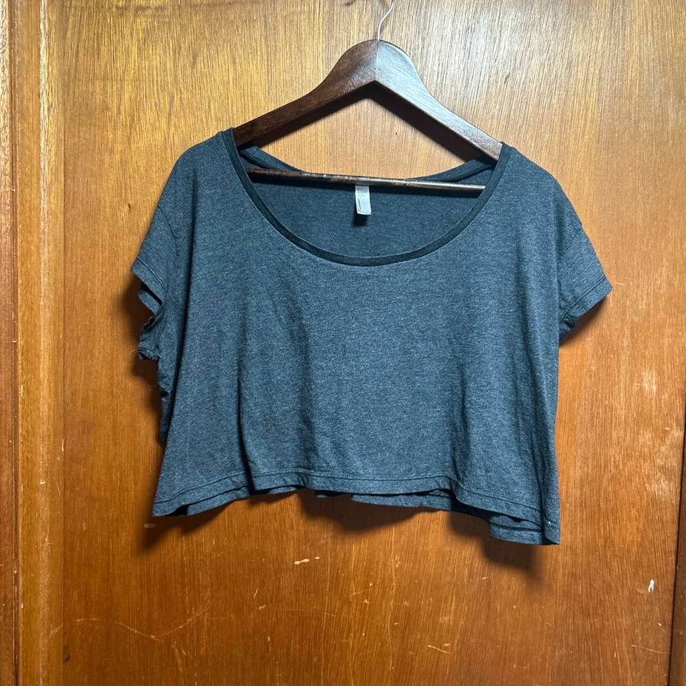 American Apparel Charcoal Crop Top